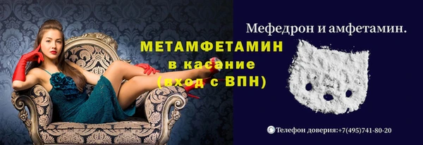 прущие грибы Абаза