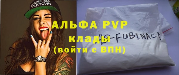 прущие грибы Абаза