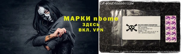 прущие грибы Абаза