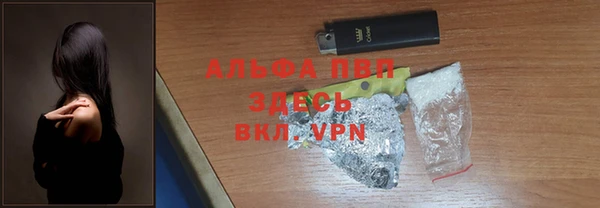 прущие грибы Абаза