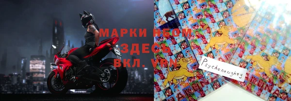 прущие грибы Абаза