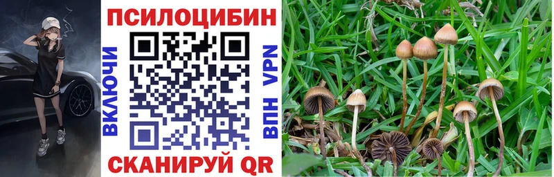 хочу наркоту  Калач  Галлюциногенные грибы ЛСД 